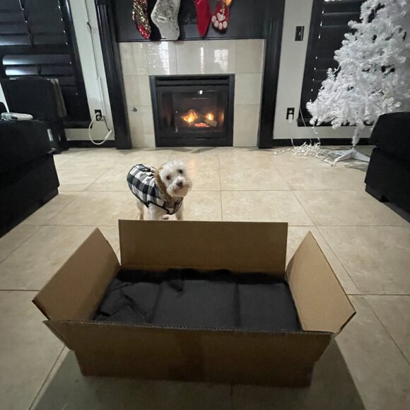 Dog Car Seat Cover & Backseat Extender – Waterproof Hammock for SUVs & Trucks 🐾 - Picture 2 of 10